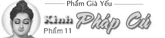 Kinh Phap Cu - Pham 11